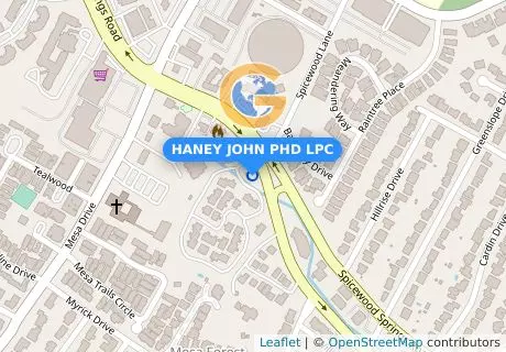 HANEY JOHN PHD LPC