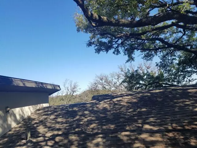 Austin Tree Care Service