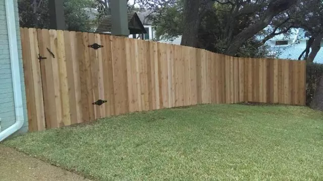 Austin Tree Care Service