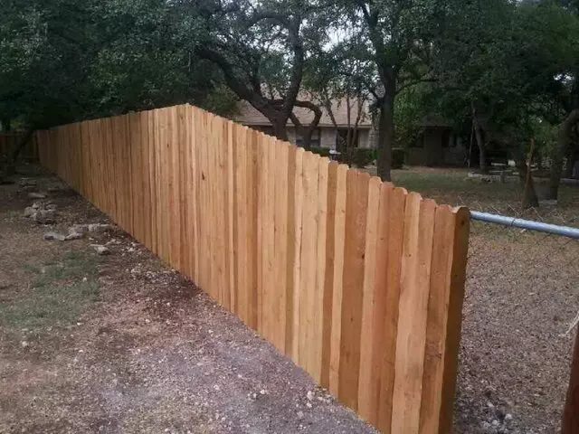 Austin Tree Care Service