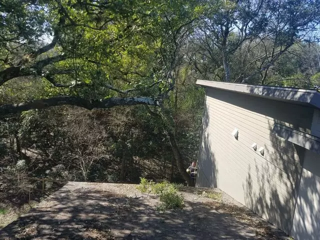 Austin Tree Care Service