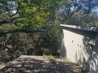 Austin Tree Care Service