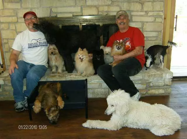 ARF Dog Training Inc. - A Real Friend Dog Training