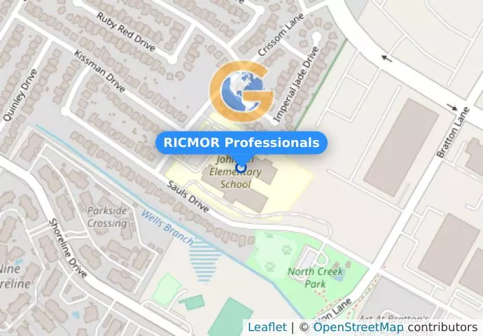 RICMOR Professionals