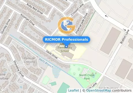 RICMOR Professionals