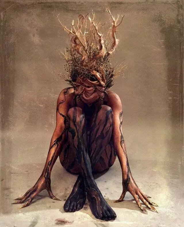 Anne Shackelford