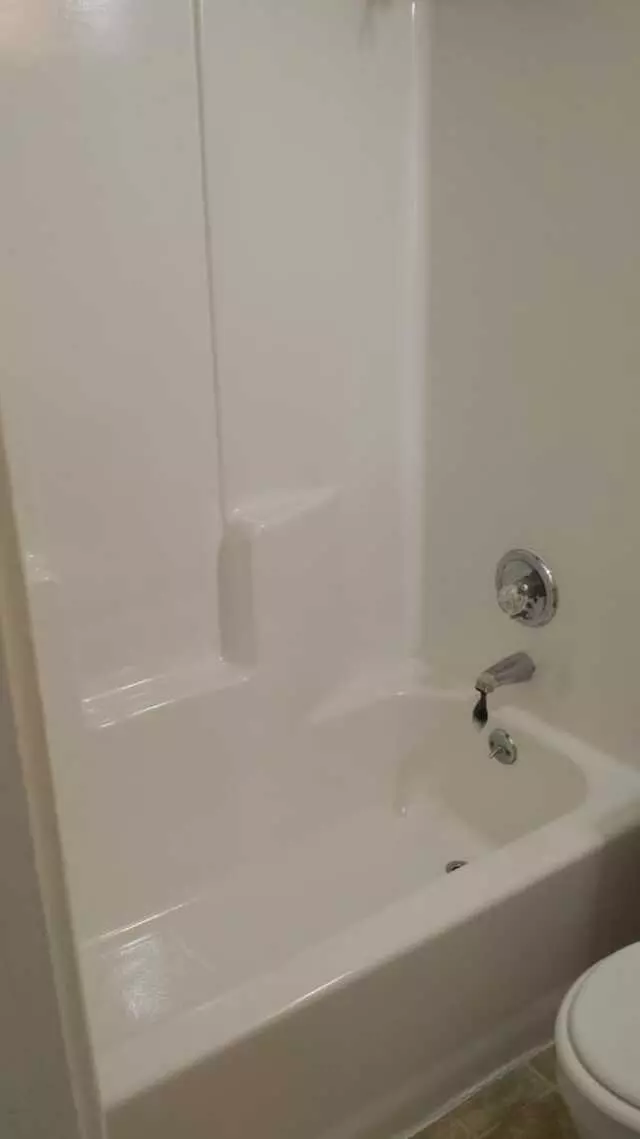 All Surface Renew