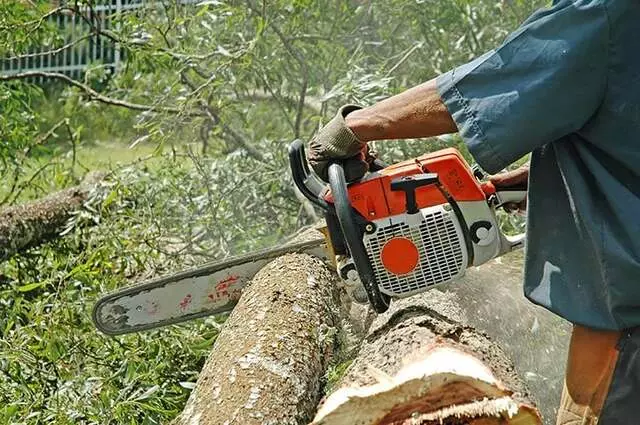 Action Services