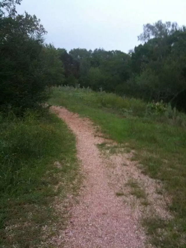 Allen Park