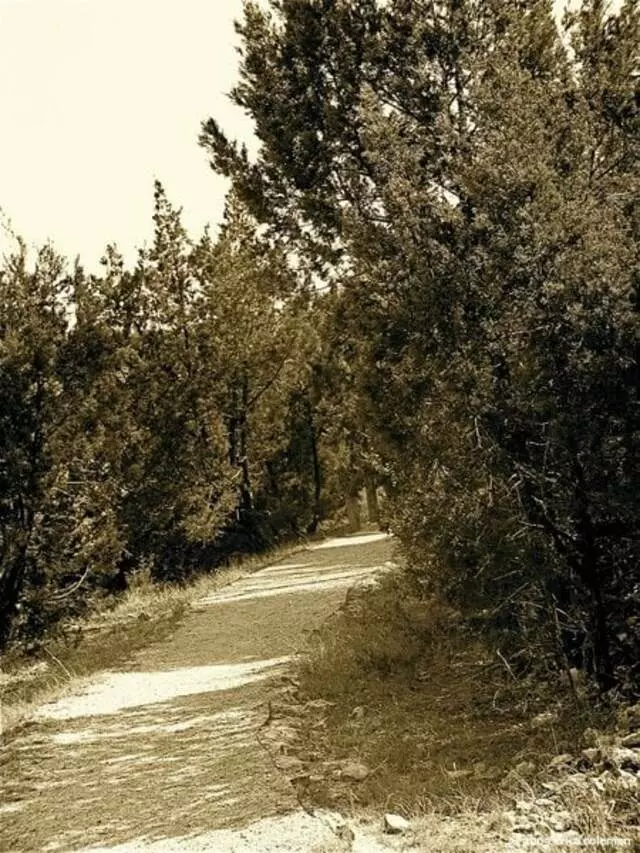 Allen Park