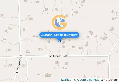 Austin Scale Busters