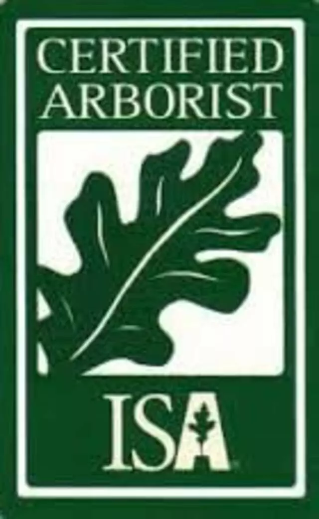 Austin Tree Surgeons