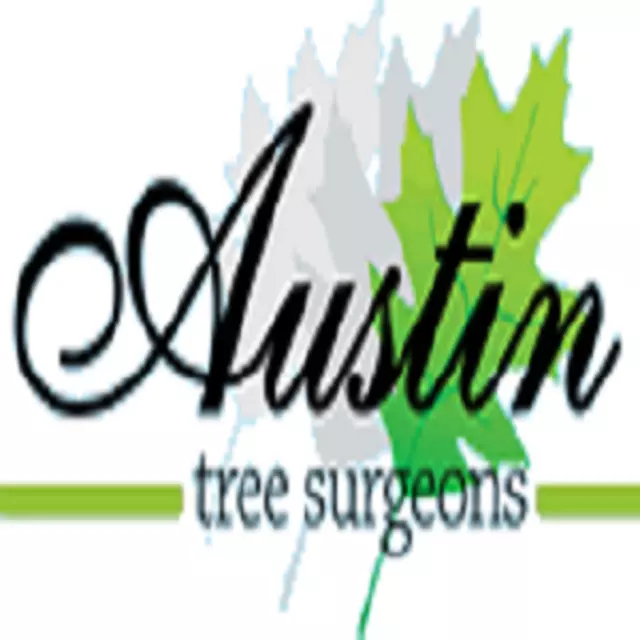 Austin Tree Surgeons