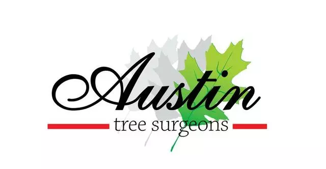 Austin Tree Surgeons