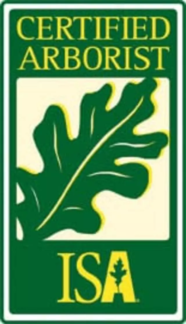Austin Tree Surgeons