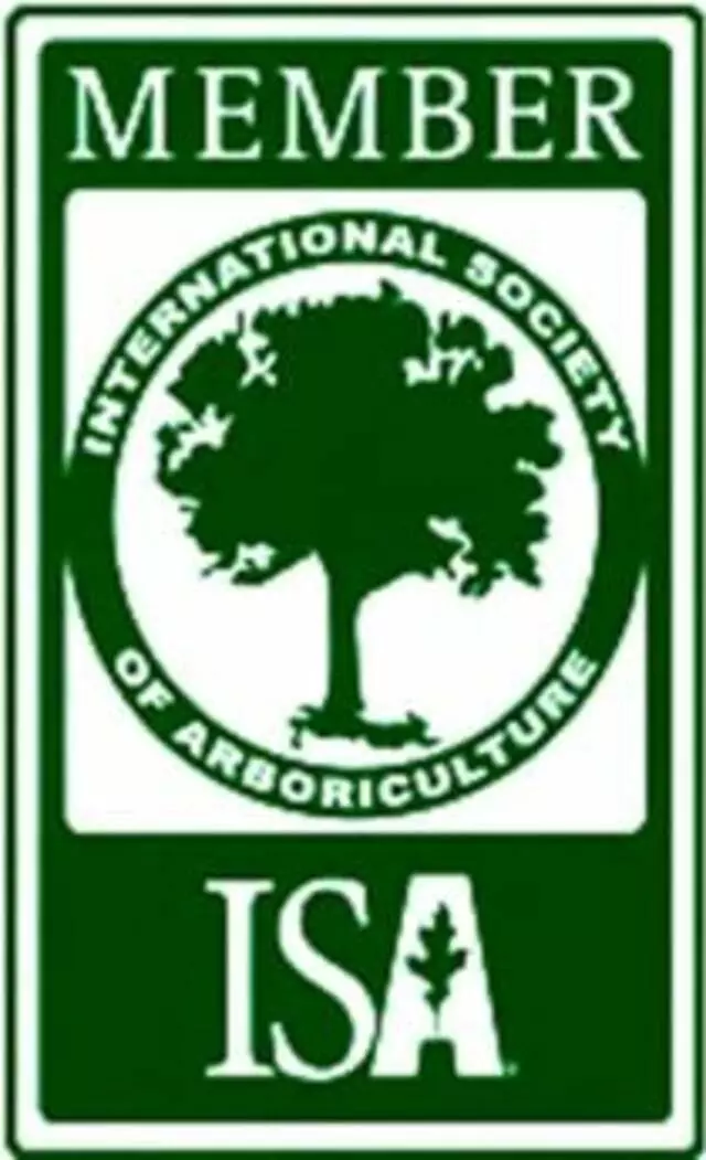 Austin Tree Surgeons