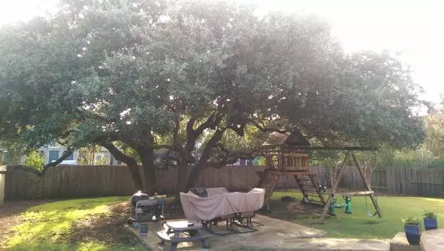 Austin Tree Surgeons