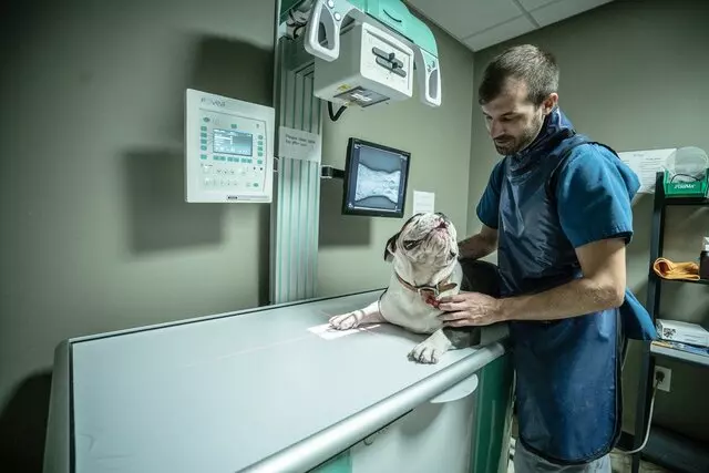 Austin Urban Vet Center