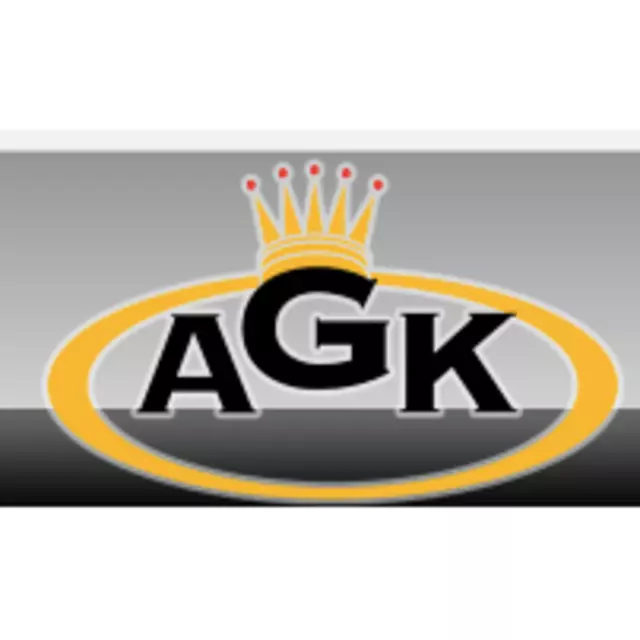Austin Gutter King