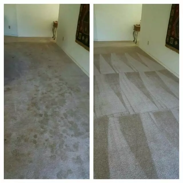 Absolute Carpet & Tile