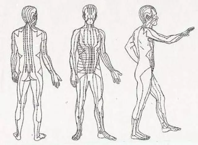 Acupuncture Plus
