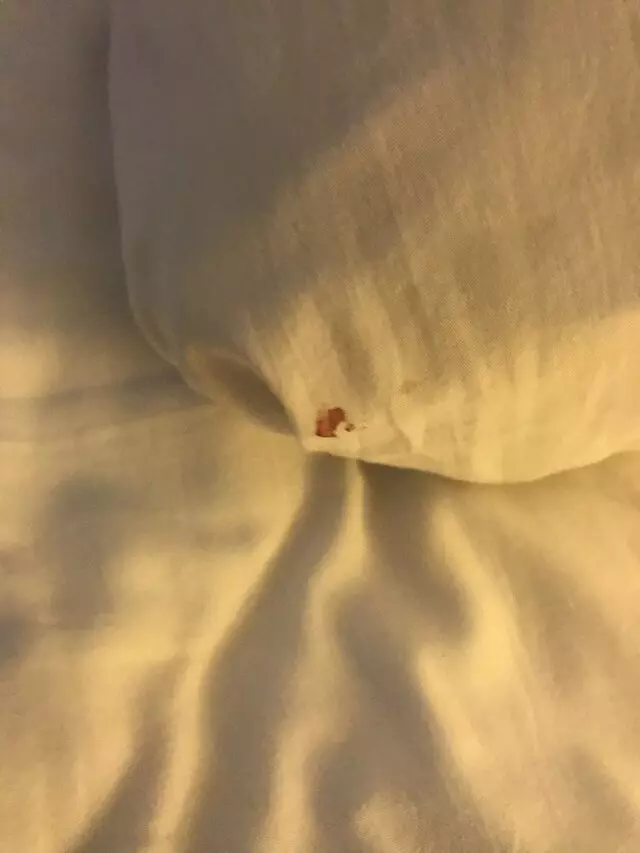 Americas Best Value Inn-Austin South