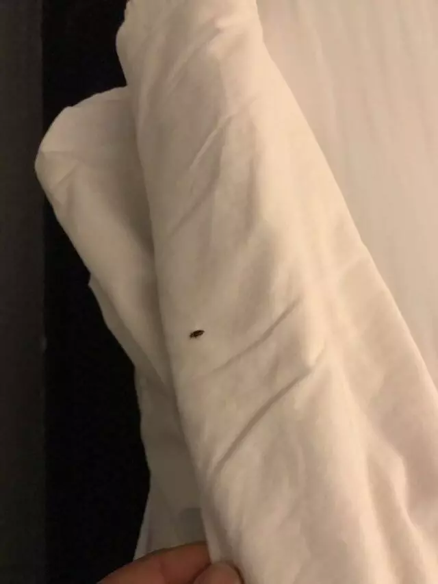 Americas Best Value Inn-Austin South