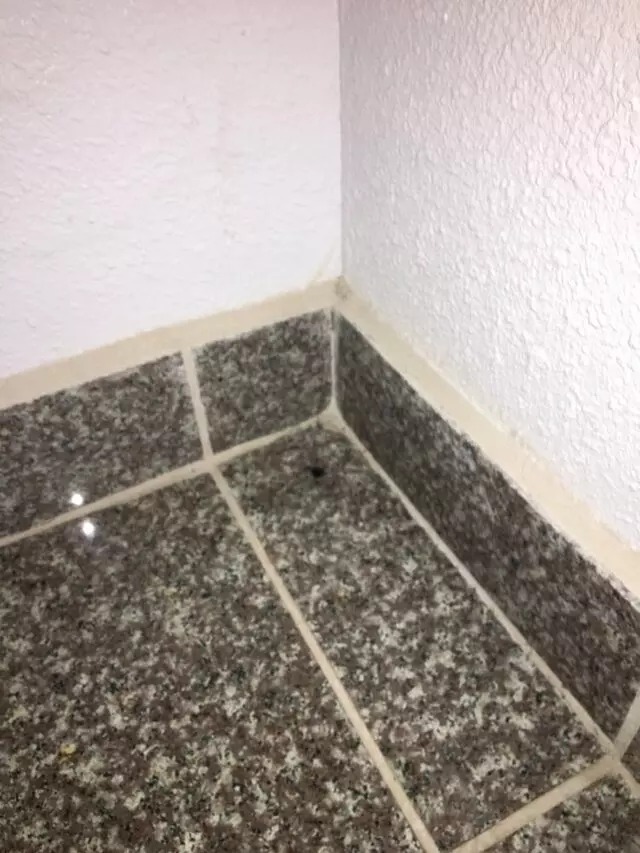 Americas Best Value Inn-Austin South