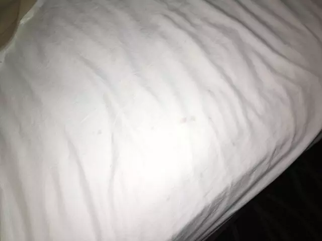Americas Best Value Inn-Austin South