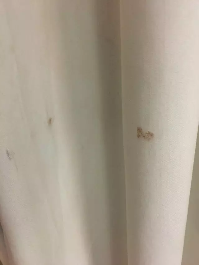 Americas Best Value Inn-Austin South