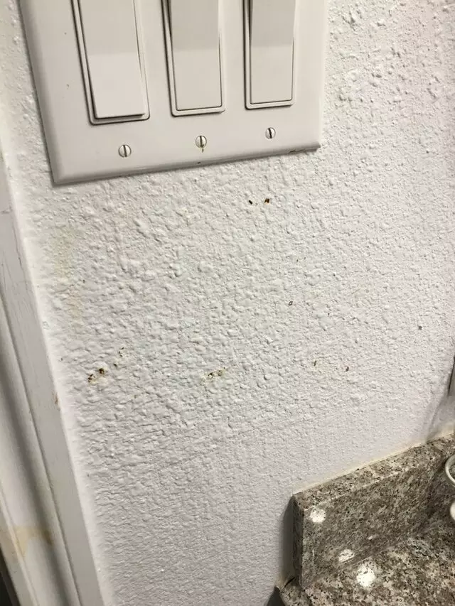 Americas Best Value Inn-Austin South