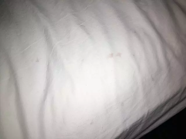 Americas Best Value Inn-Austin South