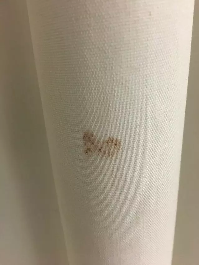Americas Best Value Inn-Austin South