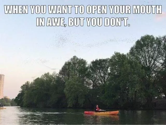 Austin Paddle Shack