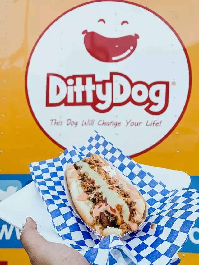 DittyDog