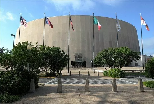 Austin Flag and Flagpole