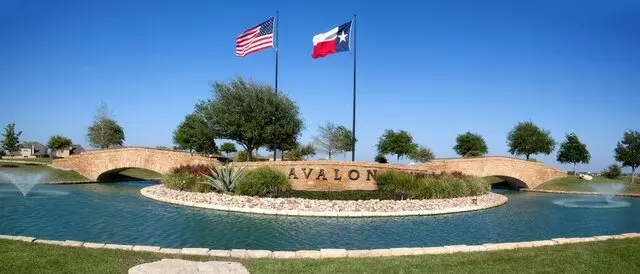 Austin Flag and Flagpole