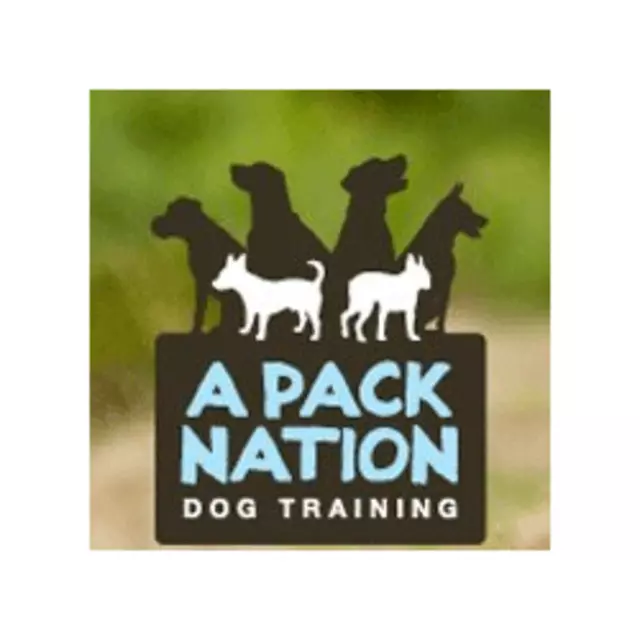 A Pack Nation Dog Training