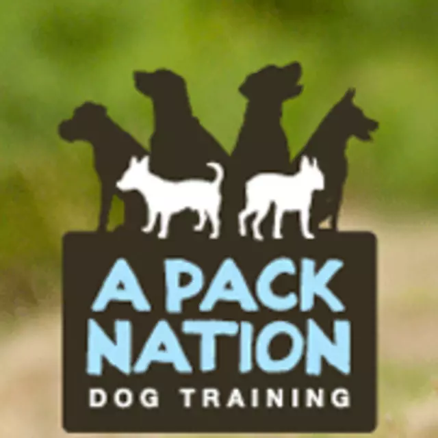 A Pack Nation Dog Training