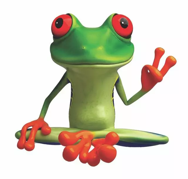 Peace Frog Specialty Cleaning