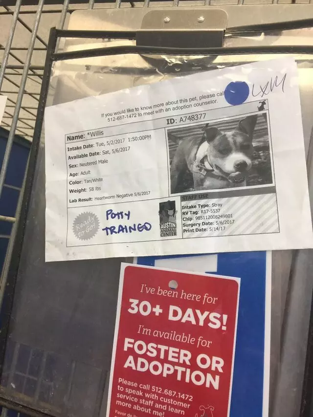Austin Animal Center