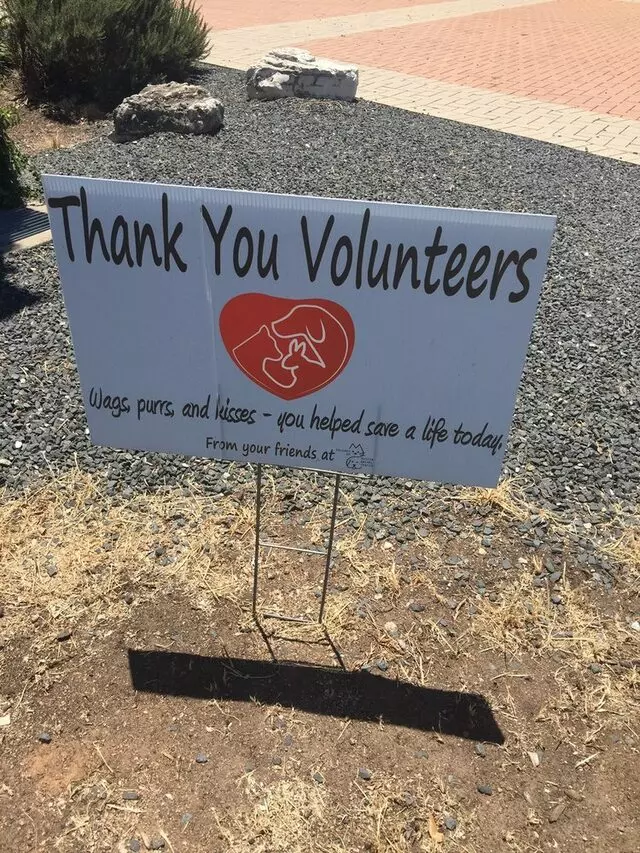 Austin Animal Center