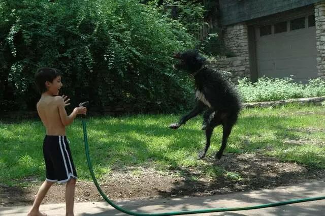 Austin Animal Center