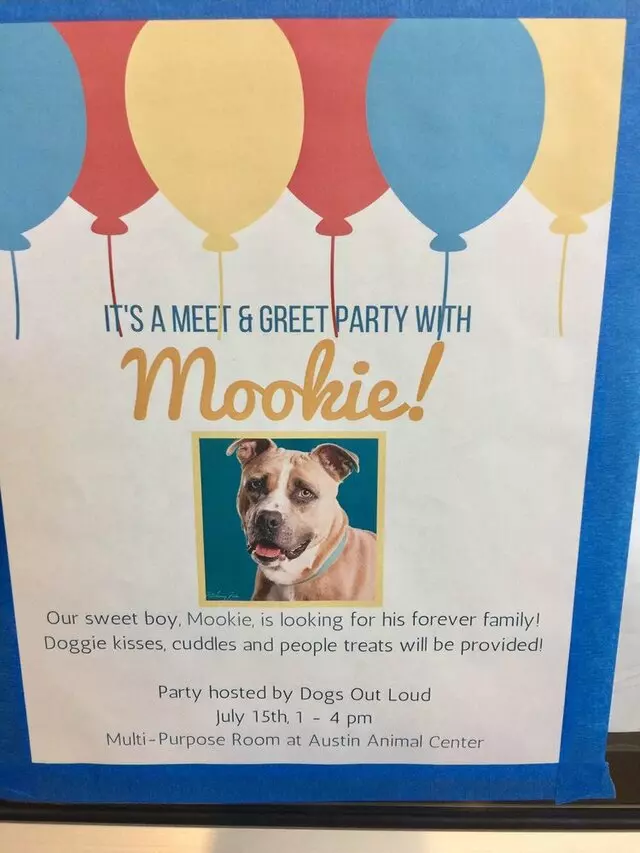 Austin Animal Center