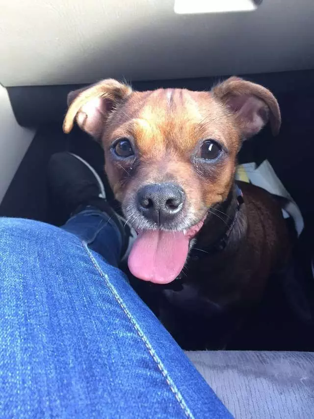 Austin Animal Center