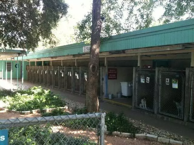 Austin Animal Center