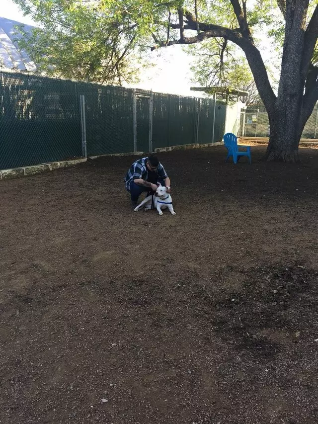 Austin Animal Center