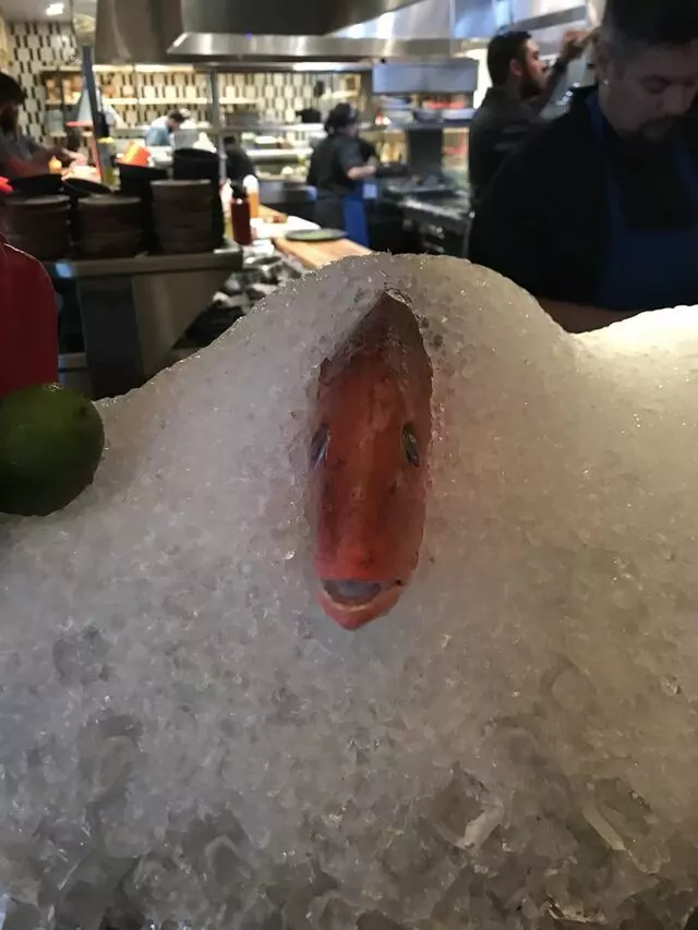 ATX Cocina