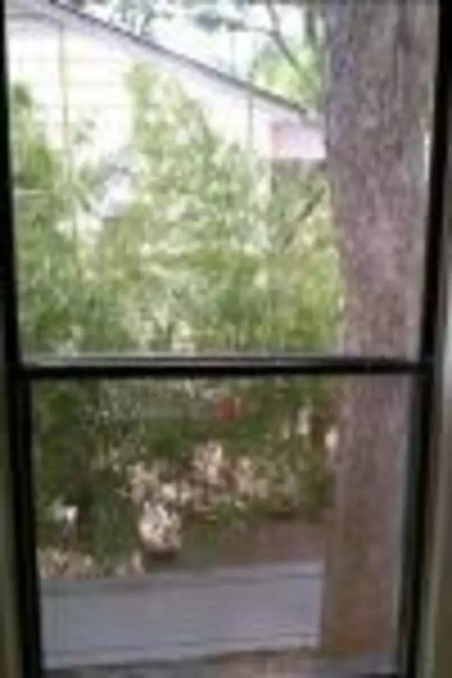 Aryco Glass & Screen