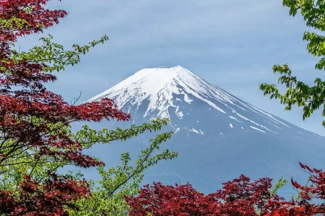 Sato Japanese Teaching & Tutoring
